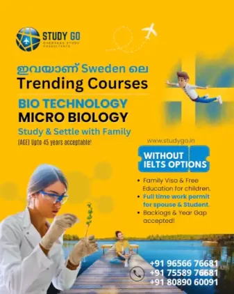 Sweden Study Abroad Courses